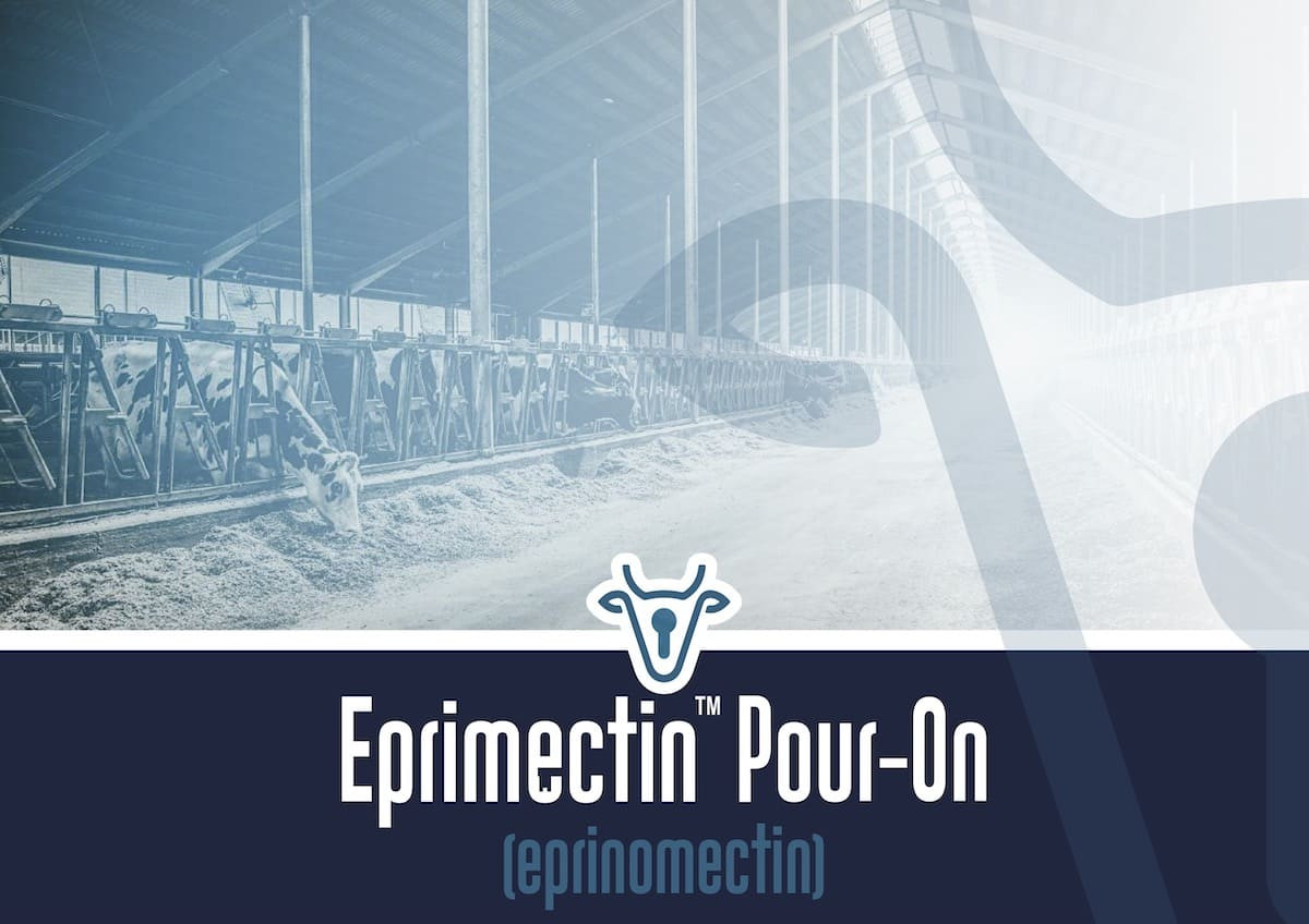 Bimeda® Launches Eprimectin™  Pour-On (eprinomectin): A Cost-Effective Solution for Beef and Dairy Producers
