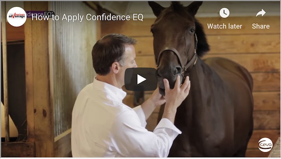 how to apply confidence eq video