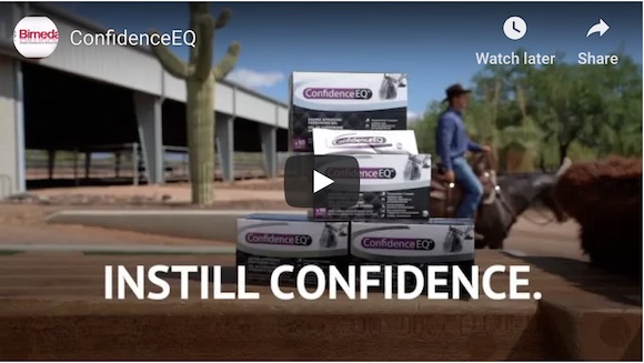 instill confidence video