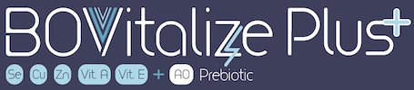 Product Logo