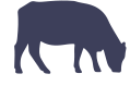 species green calf