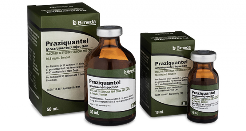 PRAZIQUANTEL INJECTION (Rx)